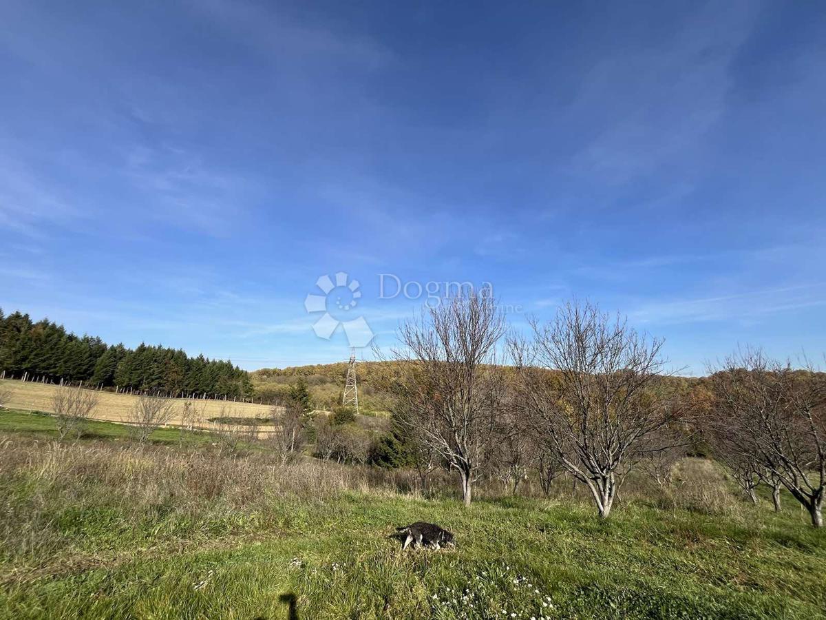 Terreno Londžica, Našice, 12.209m2