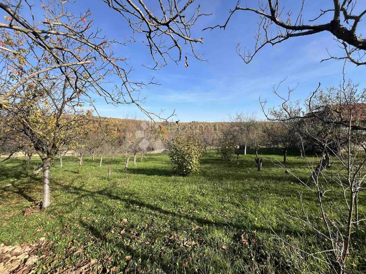 Terreno Londžica, Našice, 12.209m2