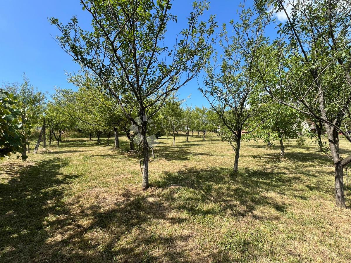 Terreno Londžica, Našice, 12.209m2