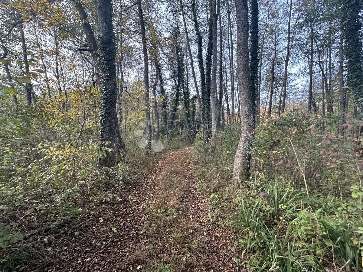 Terreno Brušane, Gospić - Okolica, 7.300m2