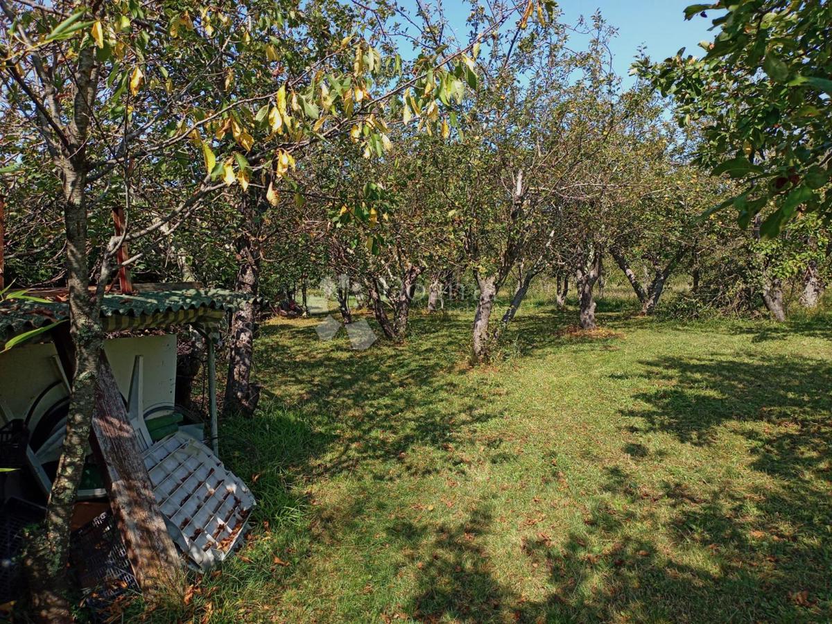 Casa Boljunsko Polje, Lupoglav, 87m2