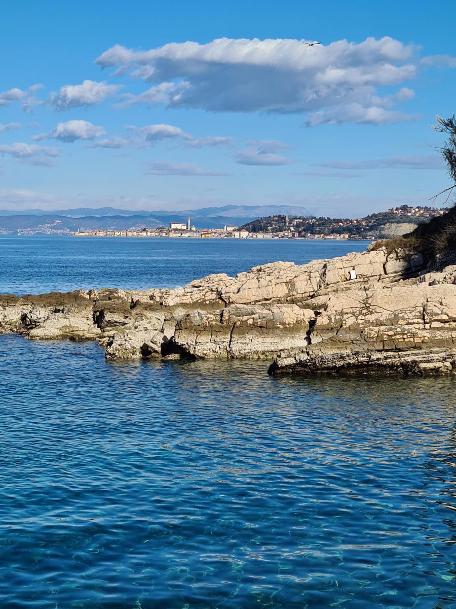Edificio. terreno con infrastrutture