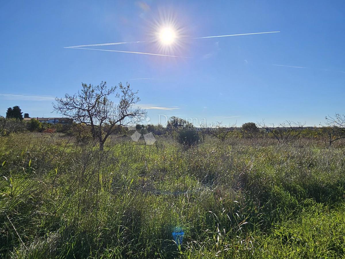 Edificio. terreno con infrastrutture