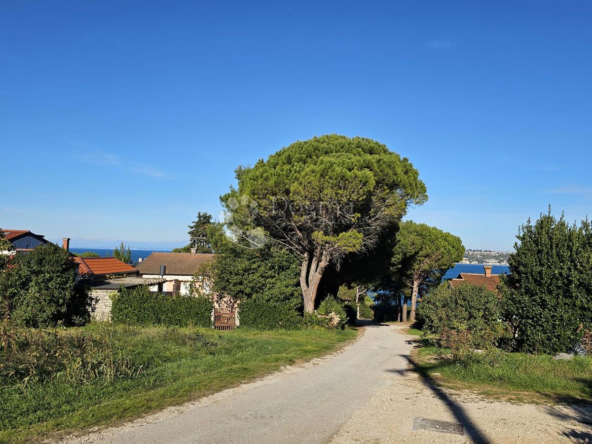 Edificio. terreno con infrastrutture