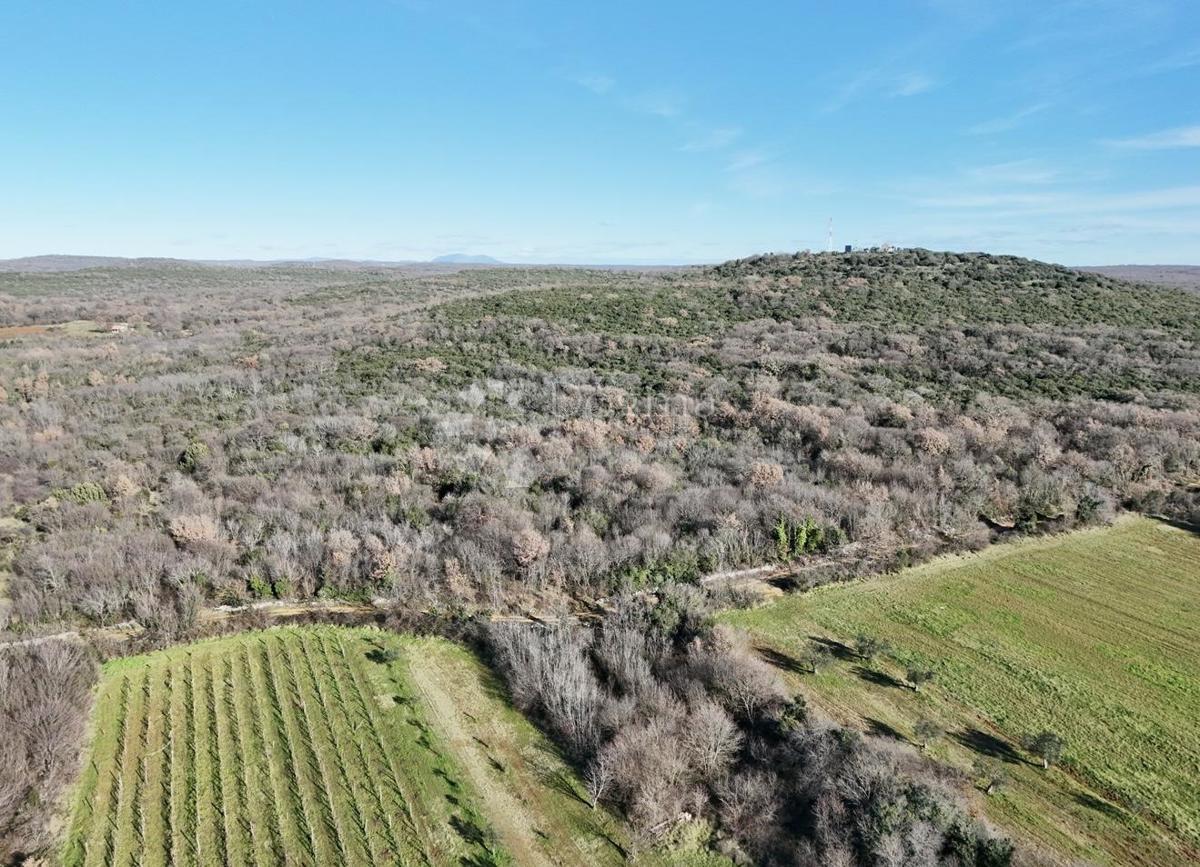 Terreno agricolo Bale, 6.052m2