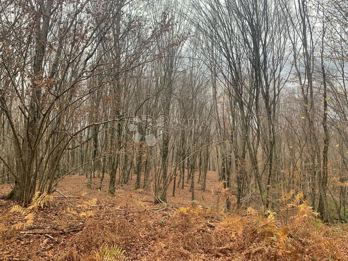 Terreno edificabile Blatuša, Gvozd, 206.338m2