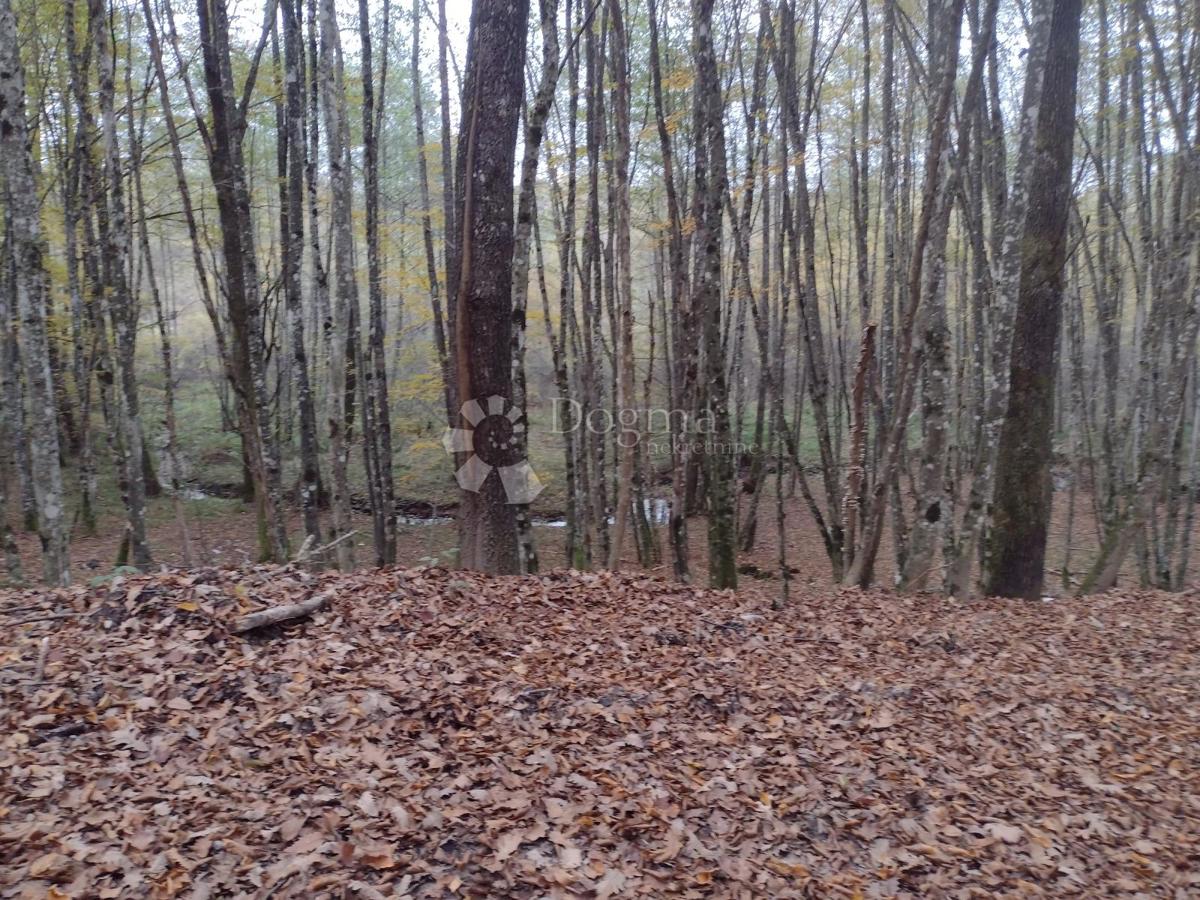 Terreno edificabile Blatuša, Gvozd, 206.338m2