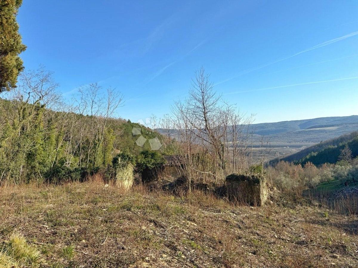 COLLINA PER COSTRUZIONE INSEDIAMENTO PRIVATO