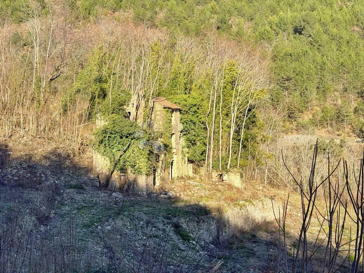 COLLINA PER COSTRUZIONE INSEDIAMENTO PRIVATO