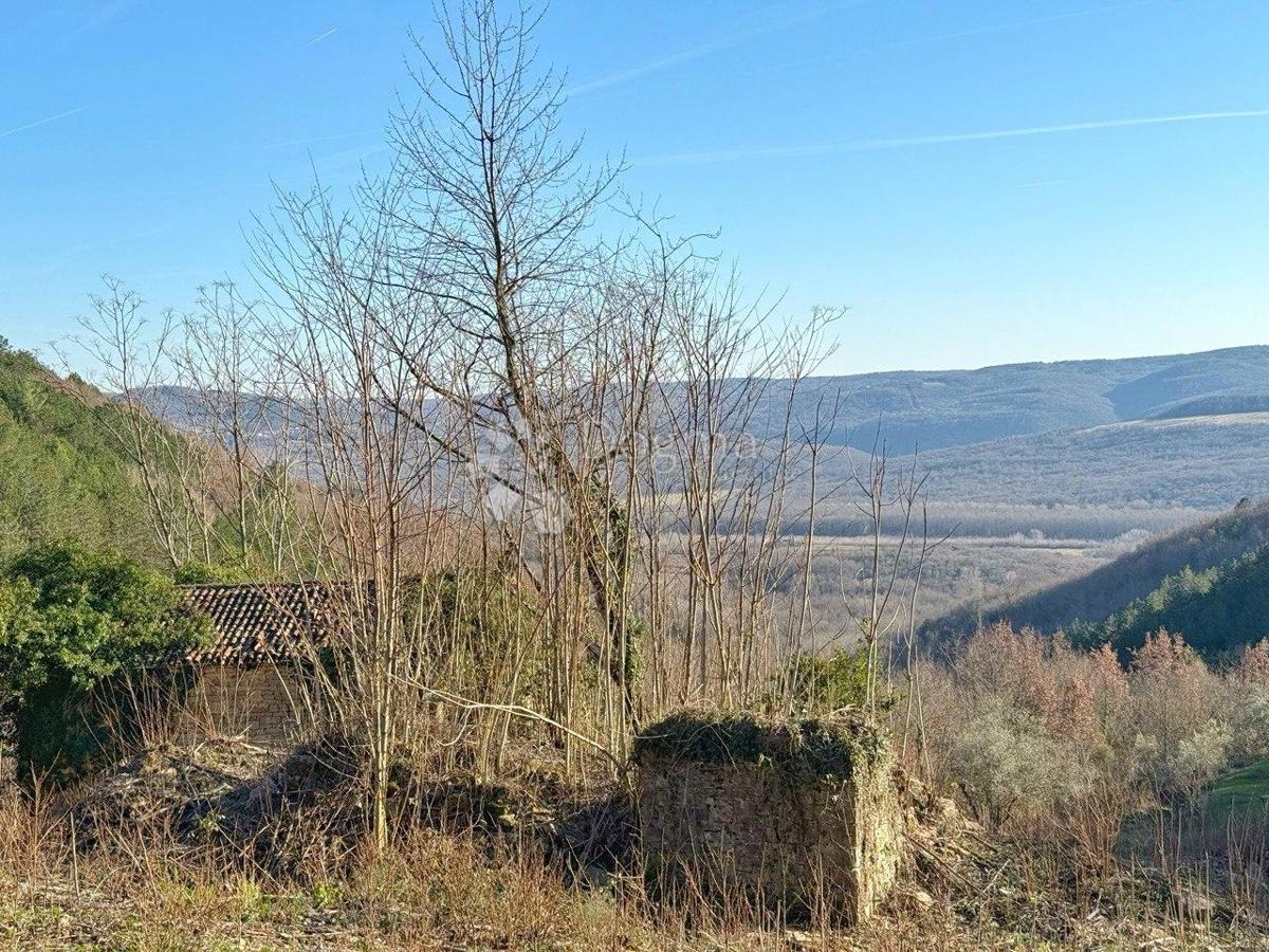 COLLINA PER COSTRUZIONE INSEDIAMENTO PRIVATO