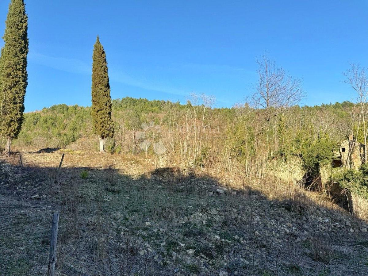 COLLINA PER COSTRUZIONE INSEDIAMENTO PRIVATO