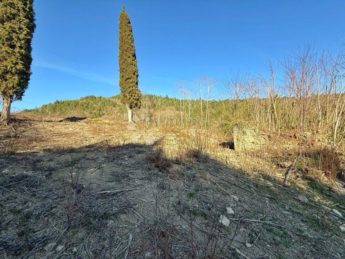 COLLINA PER COSTRUZIONE INSEDIAMENTO PRIVATO