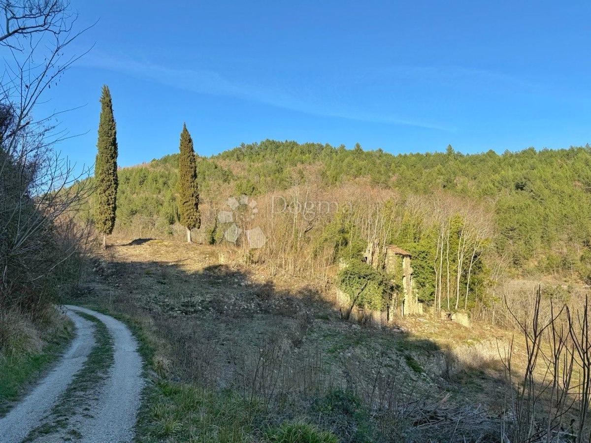 COLLINA PER COSTRUZIONE INSEDIAMENTO PRIVATO