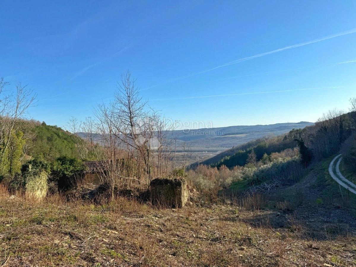 COLLINA PER COSTRUZIONE INSEDIAMENTO PRIVATO