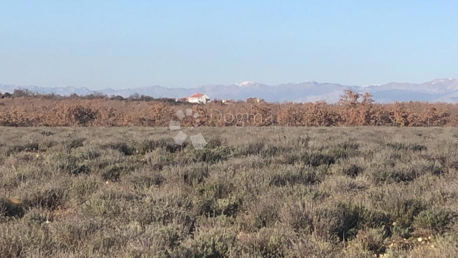 Terreno agricolo fertile 21 ha – Gornje Raštane, Lavanda, fondi UE