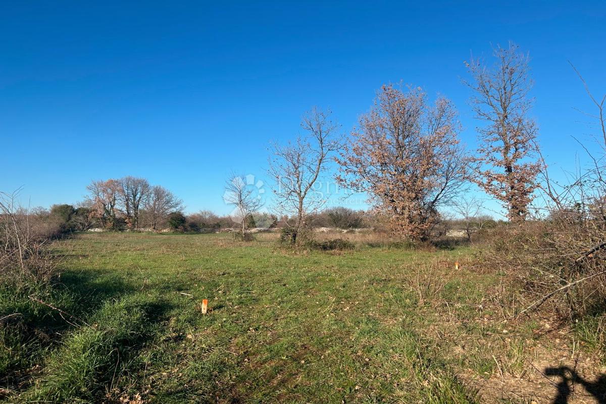 Terreno edificabile Vodnjan, 481m2