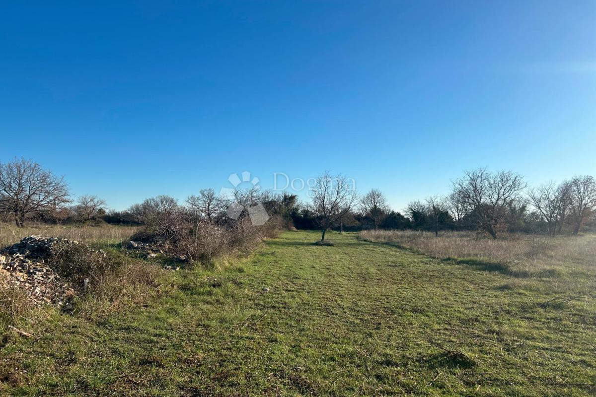 Terreno edificabile Vodnjan, 481m2