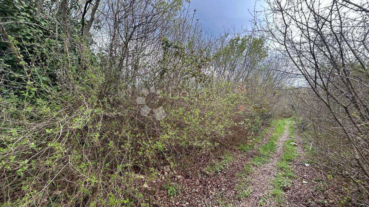 TERRENO COMBINATO POSIZIONE TOP - KRNICA