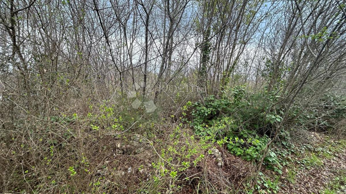 TERRENO COMBINATO POSIZIONE TOP - KRNICA