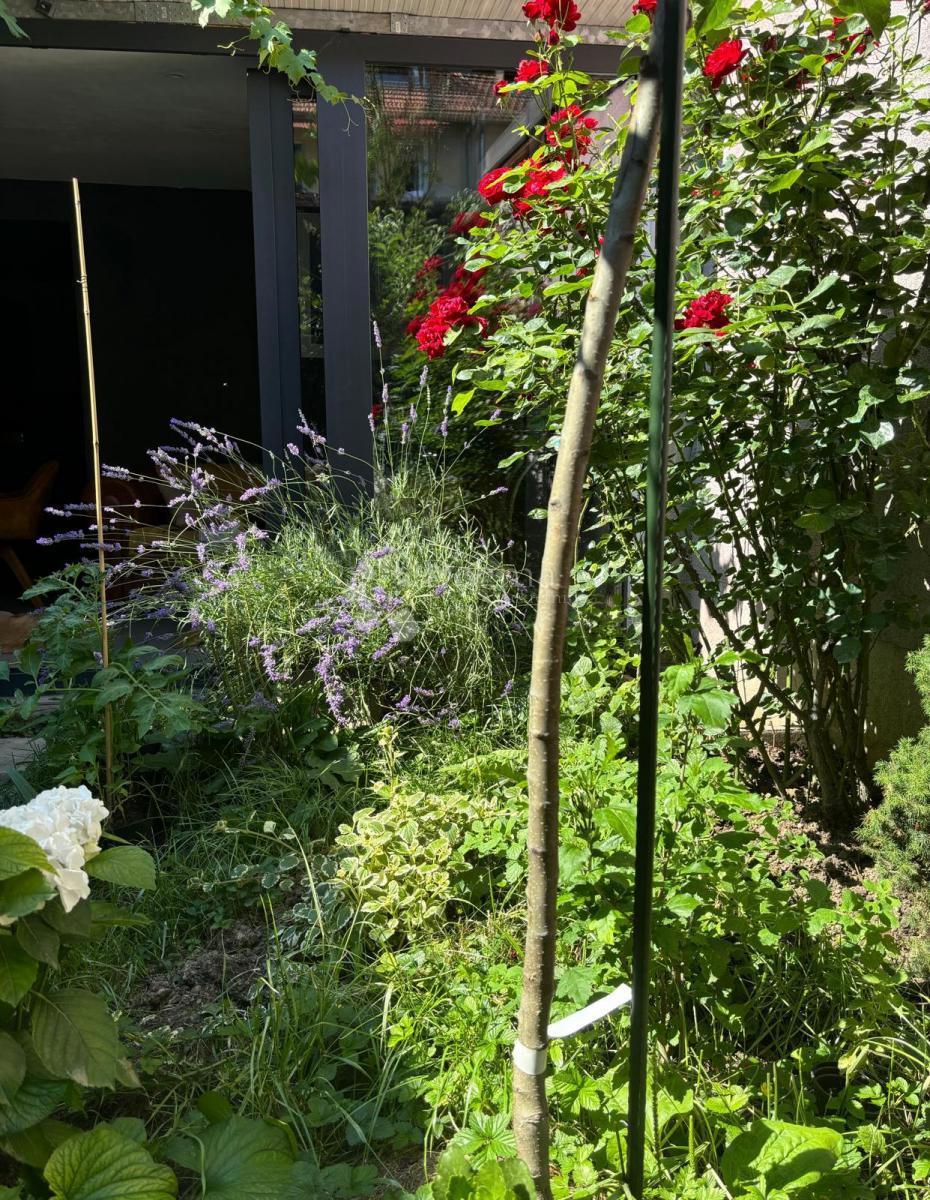 Allogio Trešnjevka, Trešnjevka - Sjever, 57m2