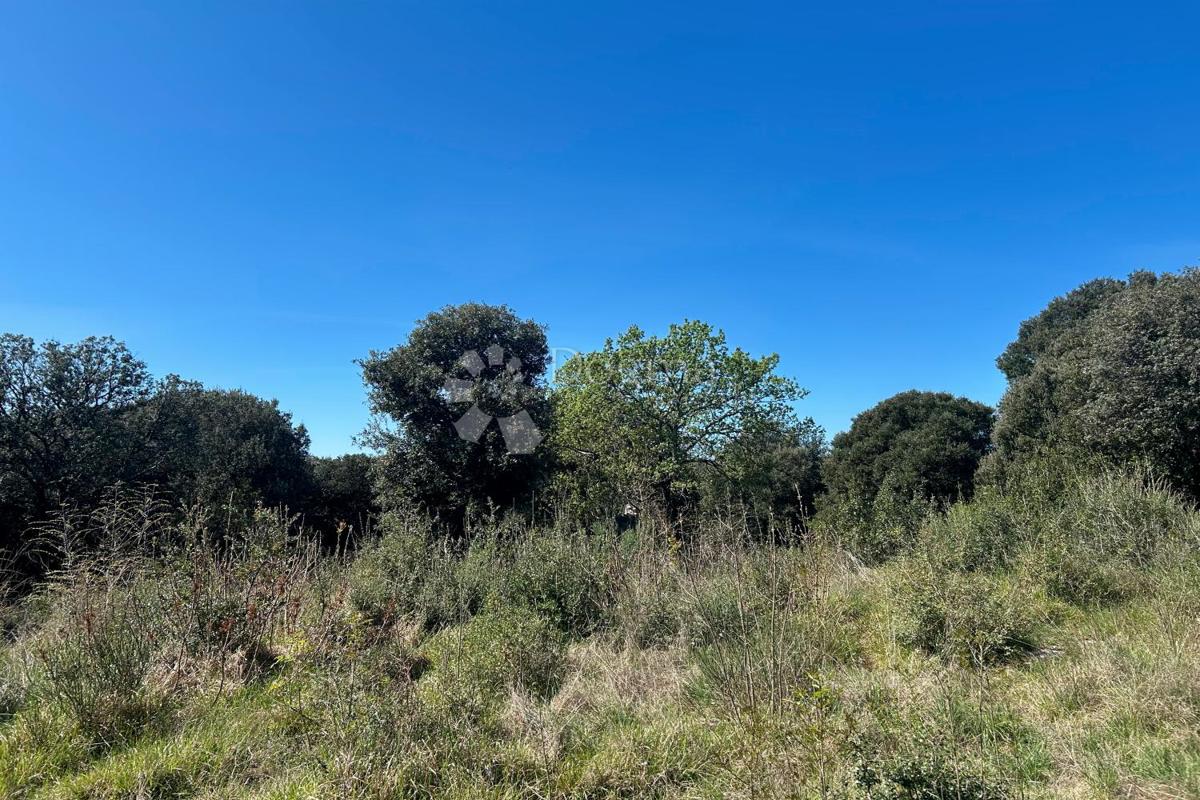 Terreno agricolo Rovinj, 11.040m2