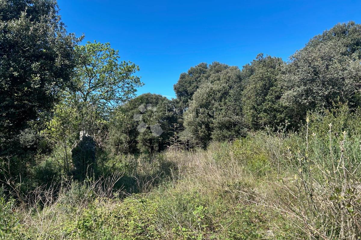 Terreno agricolo Rovinj, 11.040m2