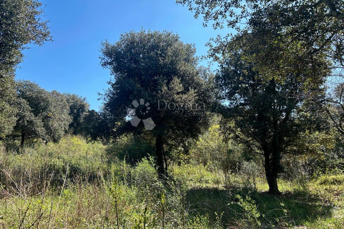 Terreno agricolo Rovinj, 11.040m2