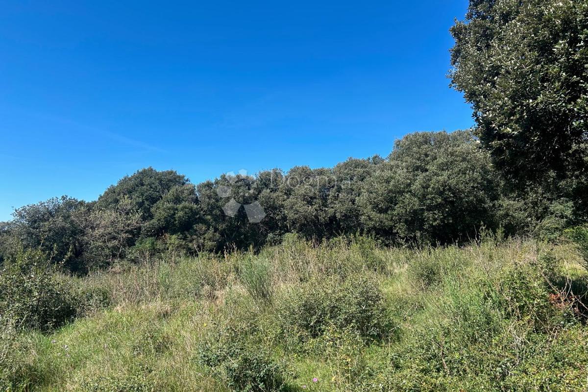 Terreno agricolo Rovinj, 11.040m2