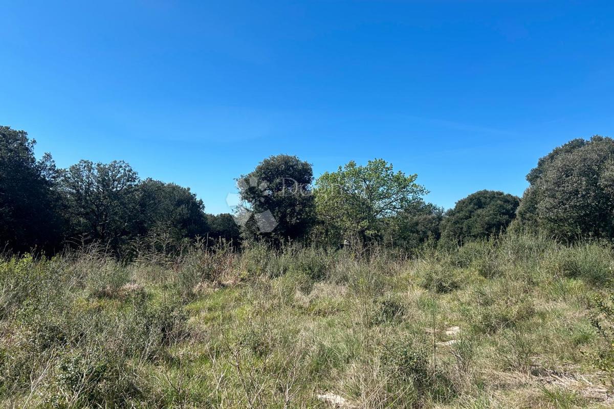 Terreno agricolo Rovinj, 11.040m2