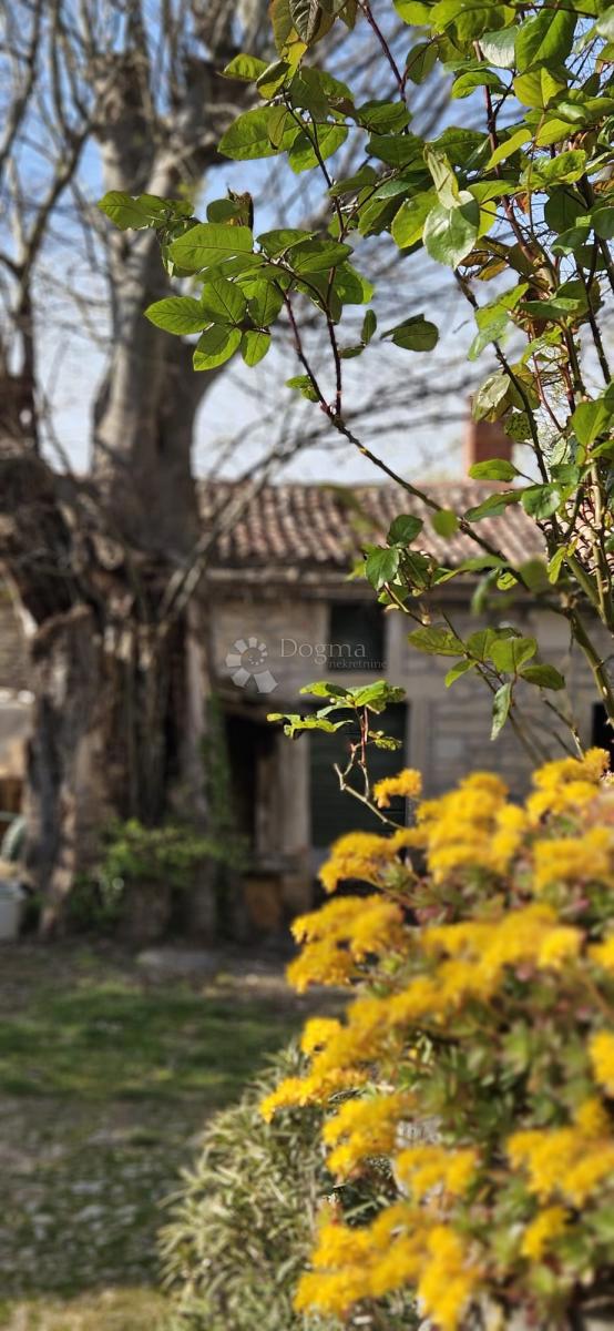 Casa Rakalj, Marčana, 235m2