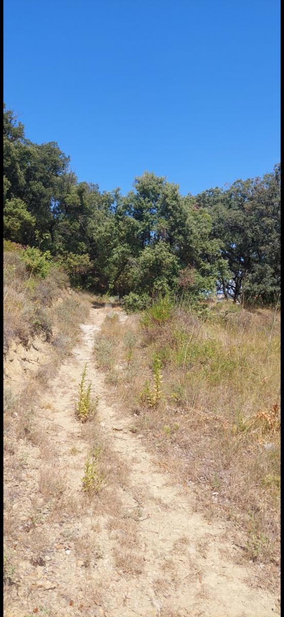 Terreno edificabile Supetarska Draga, Rab, 2.000m2