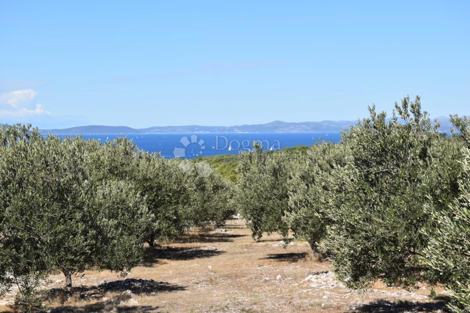 Terreno agricolo Sutivan, 7.989m2