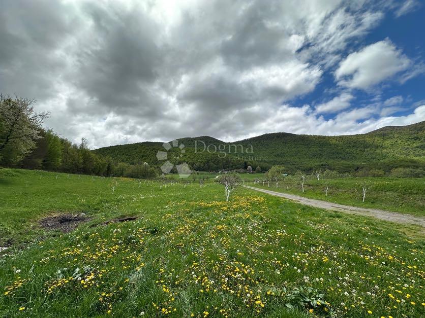 Casa Bužim, Gospić - Okolica, 11.000m2