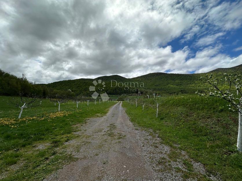 Casa Bužim, Gospić - Okolica, 11.000m2