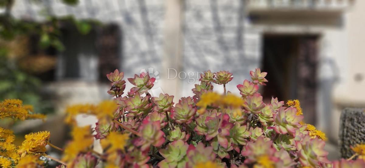 Casa Rakalj, Marčana, 235m2