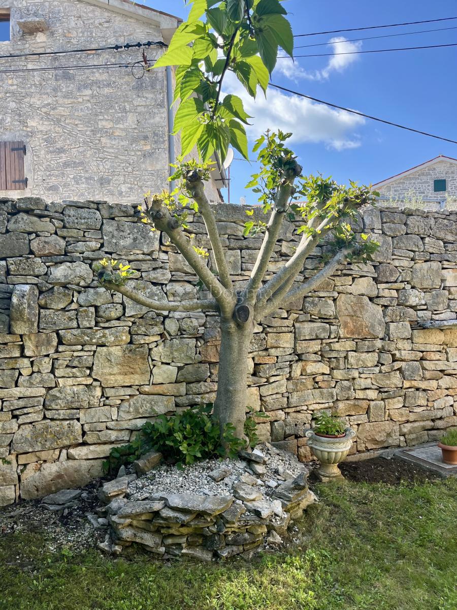 Bellezza tradizionale nel cuore dell'Istria