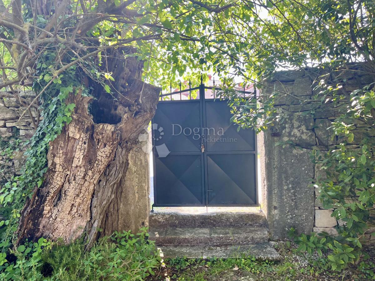 Bellezza tradizionale nel cuore dell'Istria