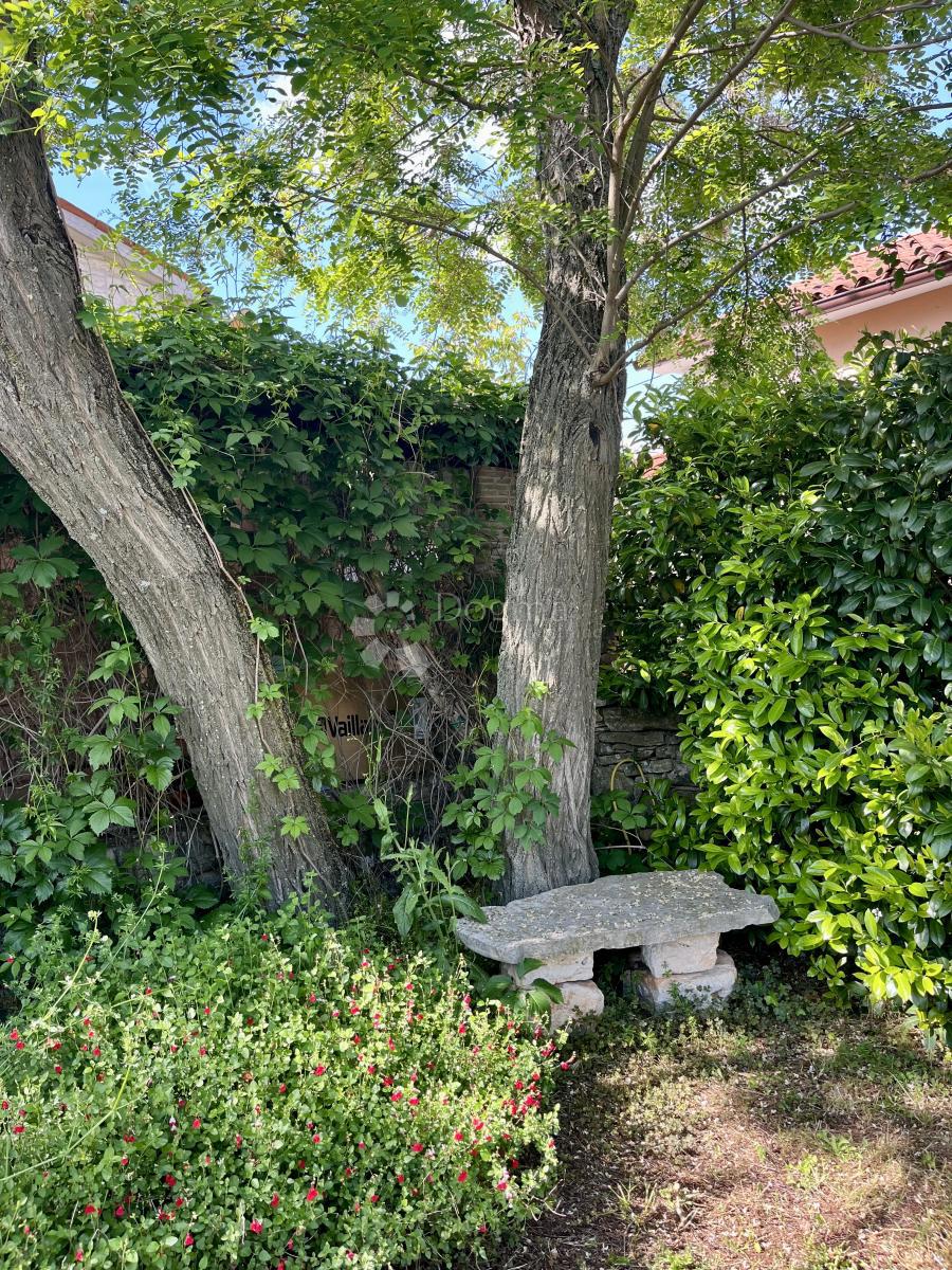 Bellezza tradizionale nel cuore dell'Istria