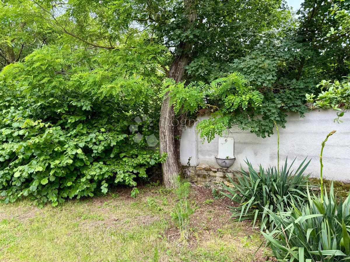 Bellezza tradizionale nel cuore dell'Istria