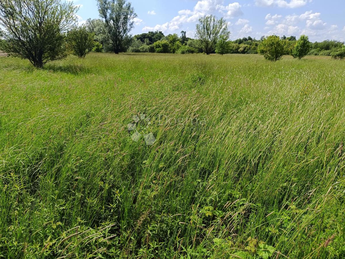 Terreno edificabile Andrilovec, Dugo Selo - Okolica, 10.830m2