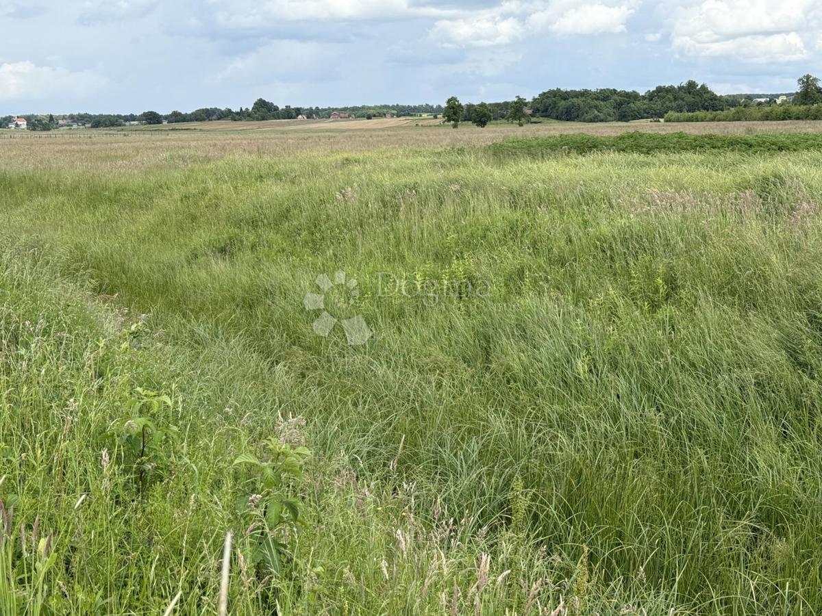 Terreno a destinazione produttiva e commerciale