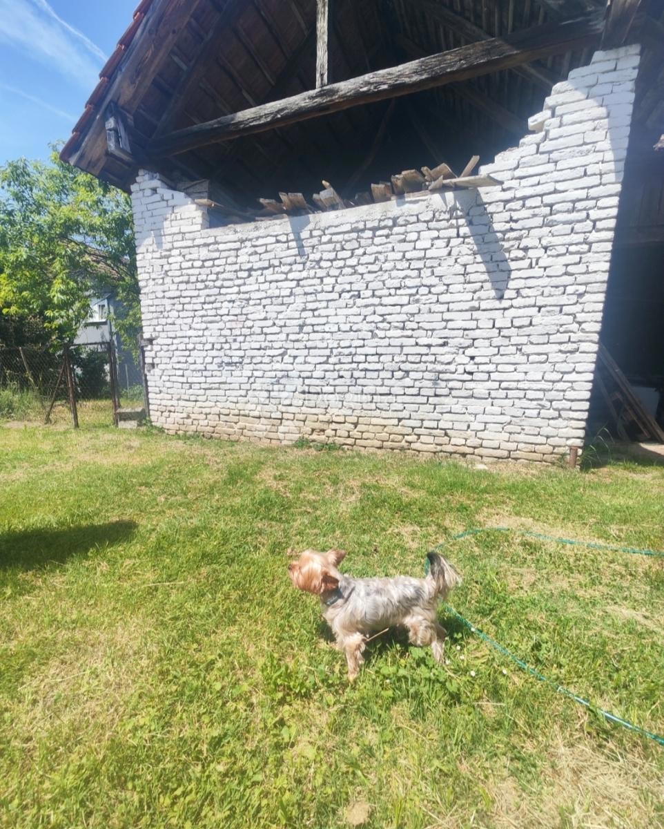 Albergo Centar, Velika Gorica, 1.964m2