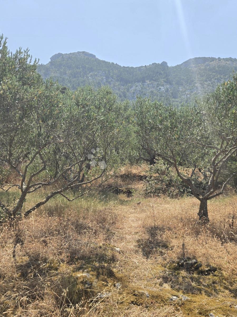 Terreno edificabile Hvar, 899m2