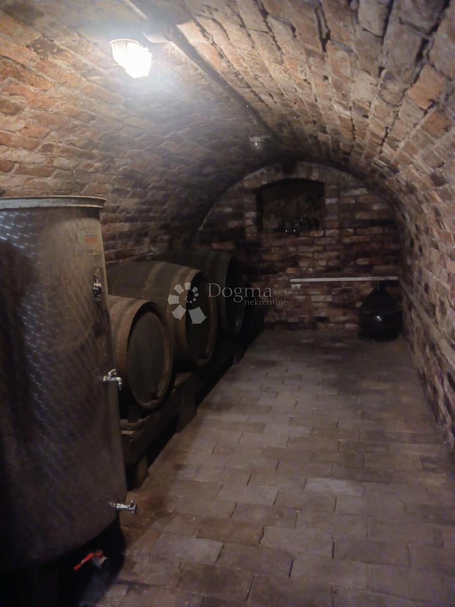 Casa Zmajevac, Kneževi Vinogradi, 155m2