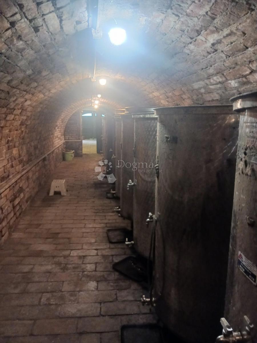 Casa Zmajevac, Kneževi Vinogradi, 155m2