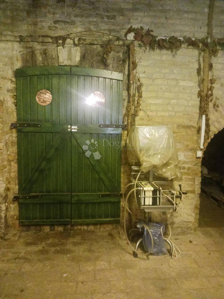 Casa Zmajevac, Kneževi Vinogradi, 155m2