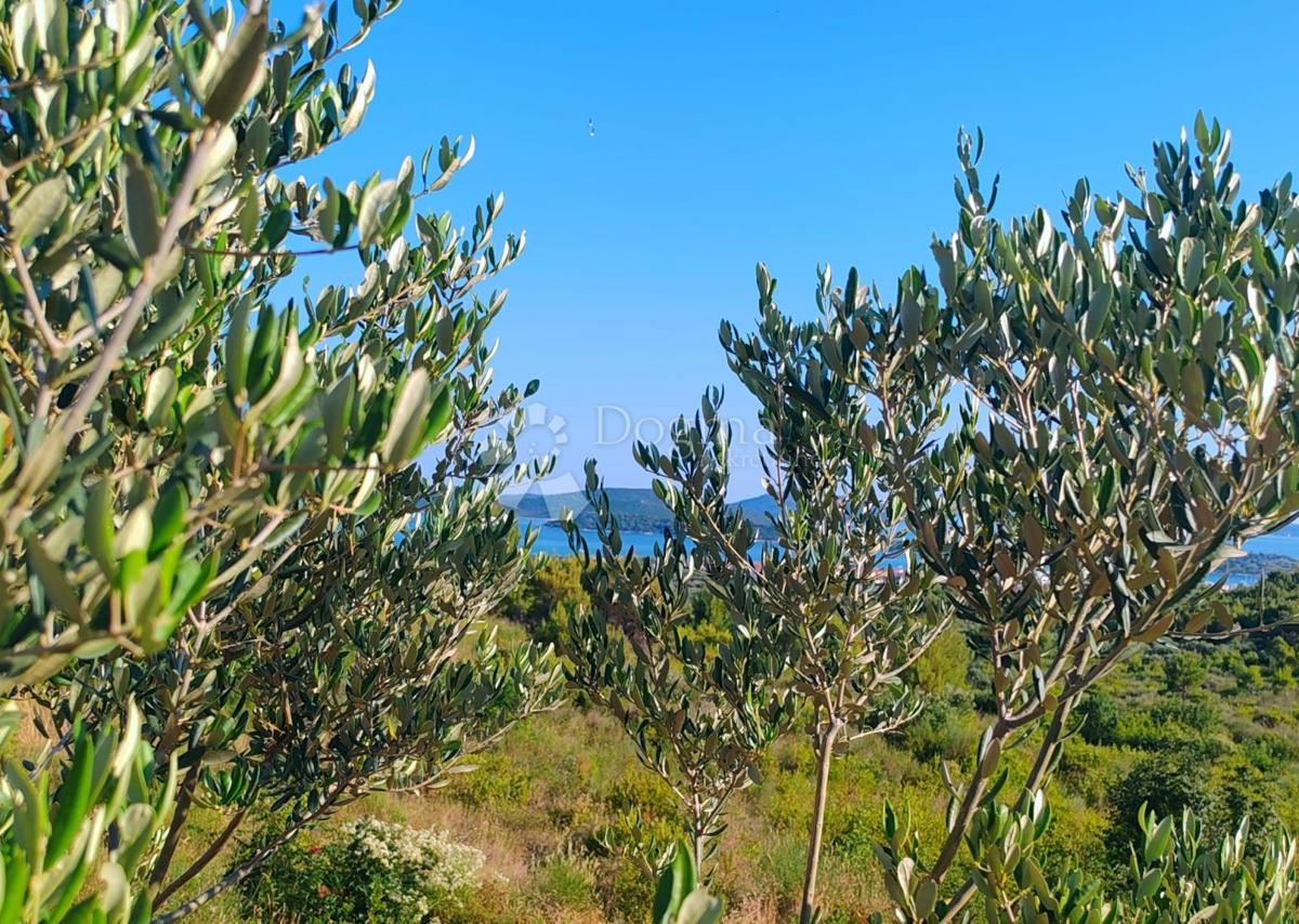 Terreno agricolo Tribunj, 6.794m2