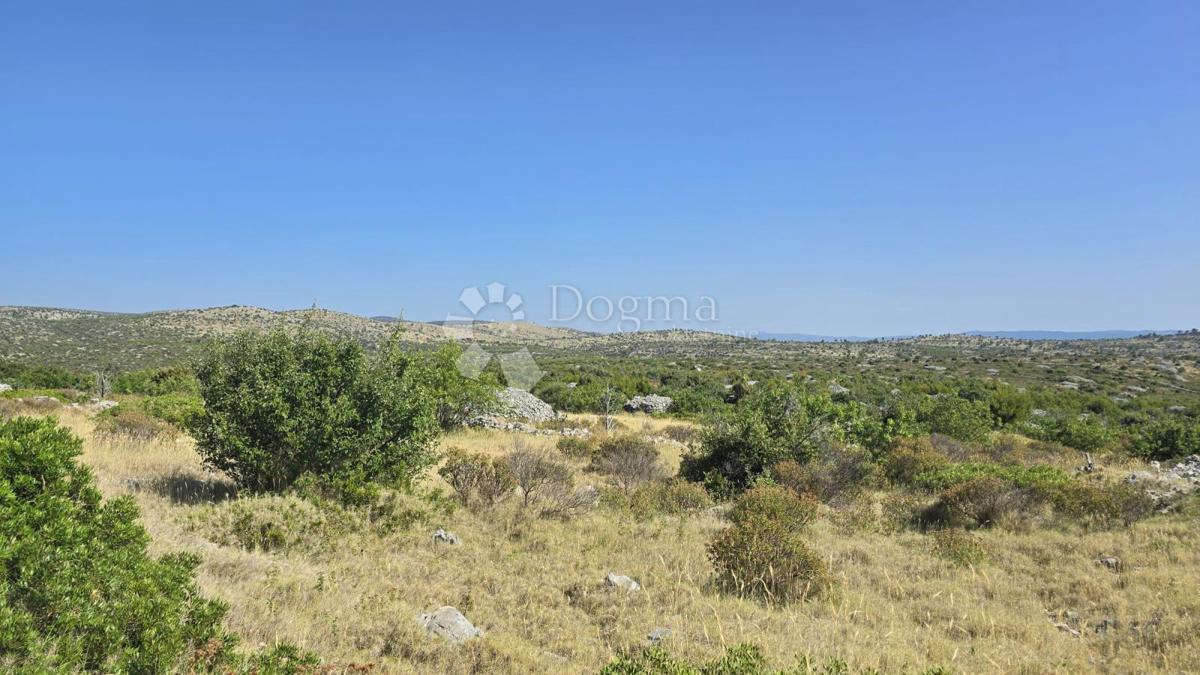 Terreno agricolo Milna, 9.819m2