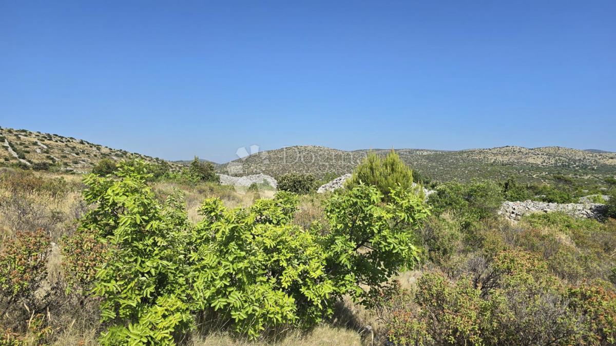 Terreno agricolo Milna, 9.819m2