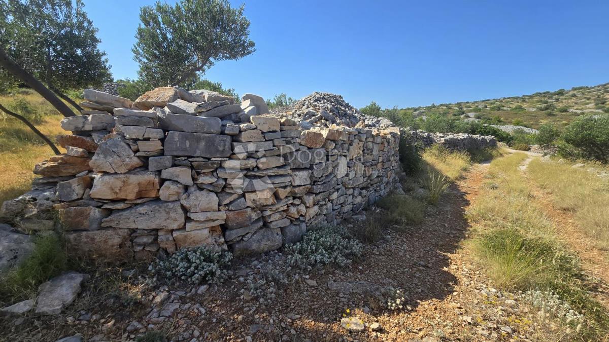 Terreno agricolo Milna, 9.819m2